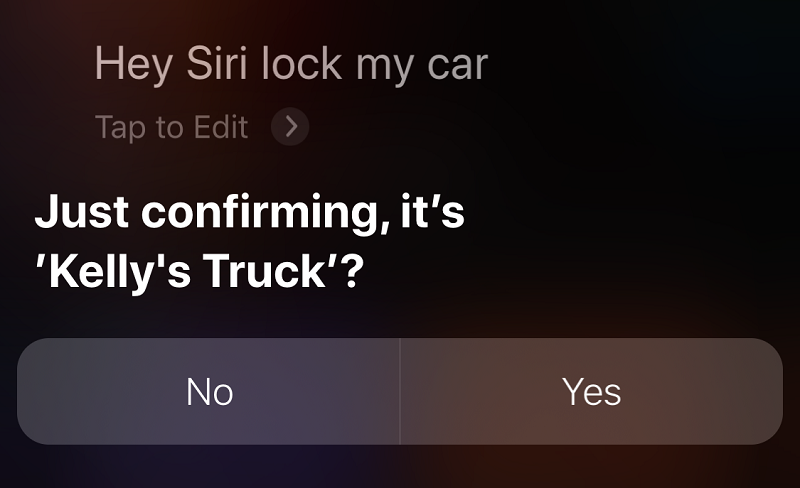 Google Siri Control