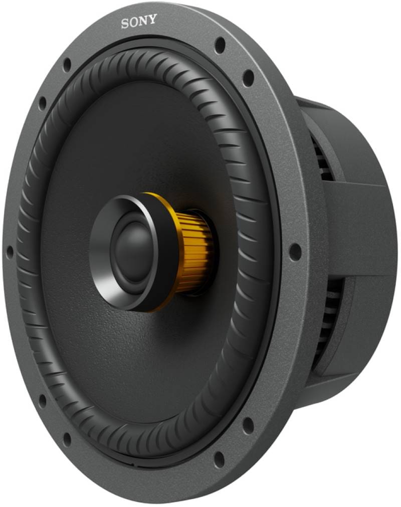Coincident Speaker