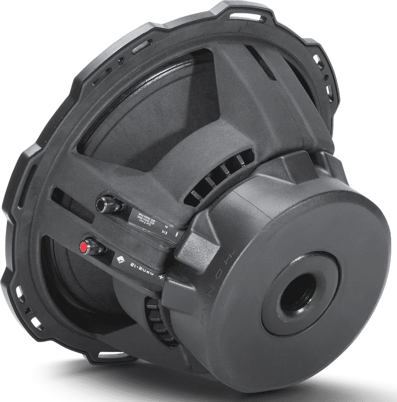 Rockford Fosgate P2D2-12